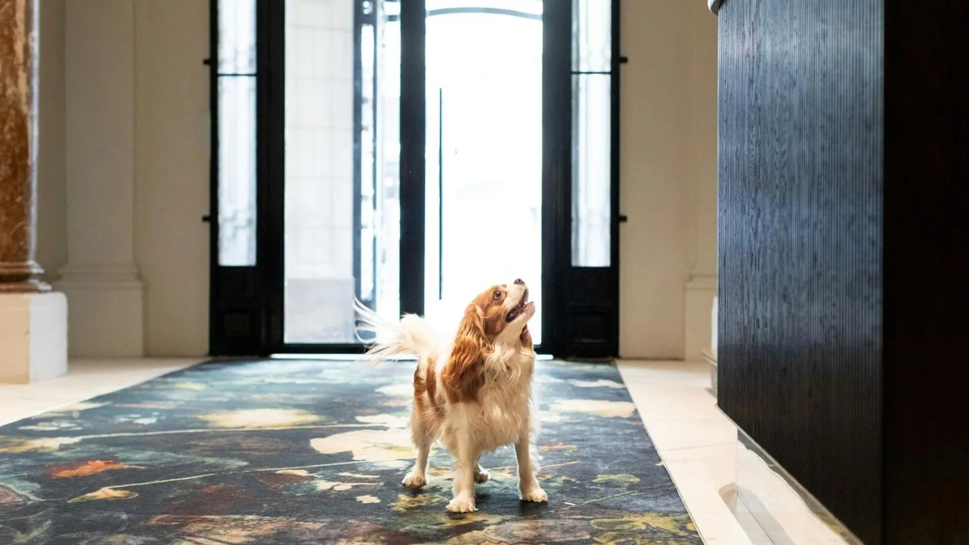 Sapphire House Antwerp, Autograph Collection By Marriott Hotel